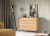 IMG_PLMOL04D_MODERN_LOFT_1.jpg