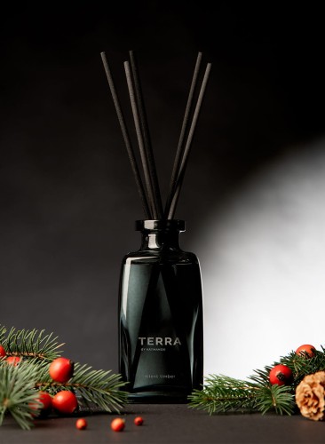 IMG_ZAP01_SILENT_TIMBER_TERRA.jpg