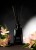 IMG_ZAP02_BLOOMING_GRAIN_TERRA.jpg
