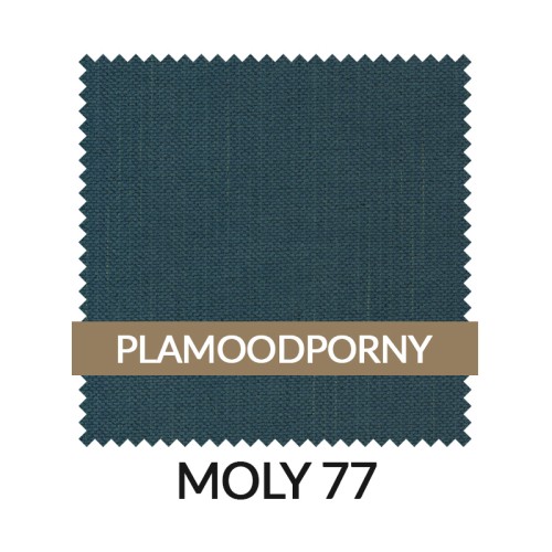 WZ_MOLY77_PL.jpg