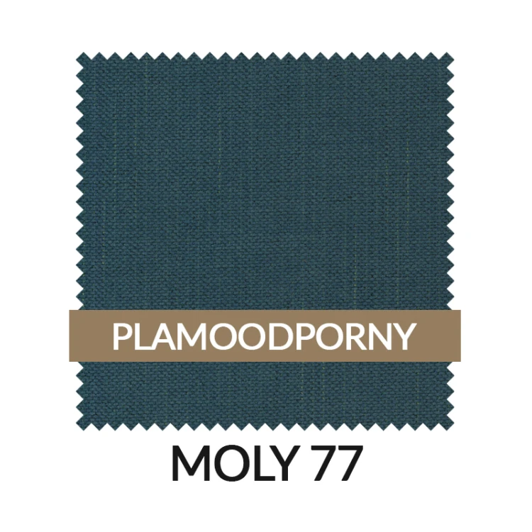 WZ_MOLY77_PL.jpg
