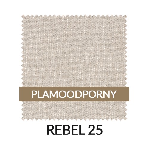 WZ_REBEL25_PL.jpg