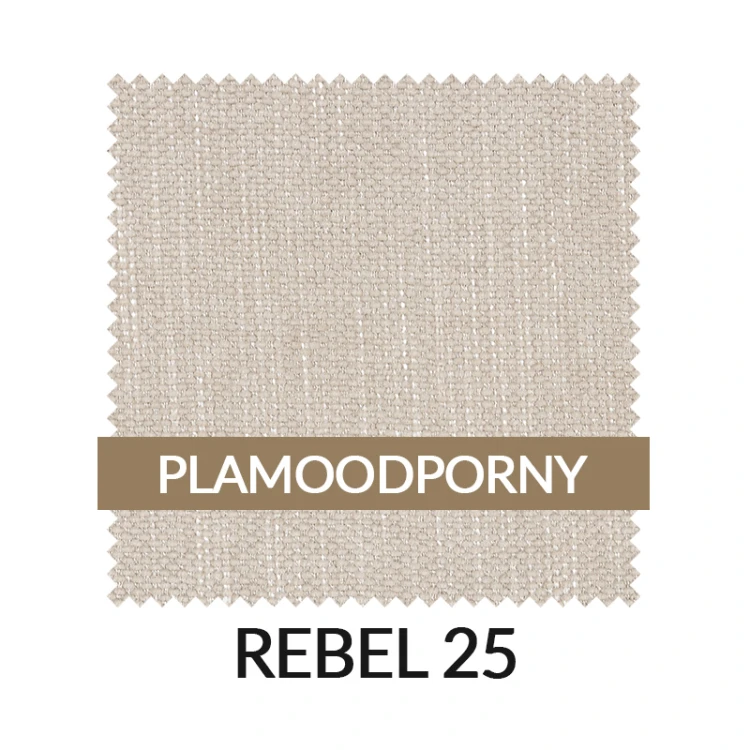 WZ_REBEL25_PL.jpg
