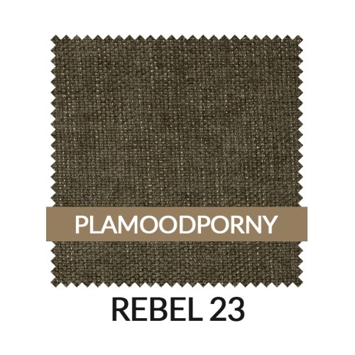 WZ_REBEL23_PL.jpg
