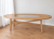 IMG_PRGA260S_GAVI_3.png