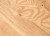 orbetello_seki.jpg